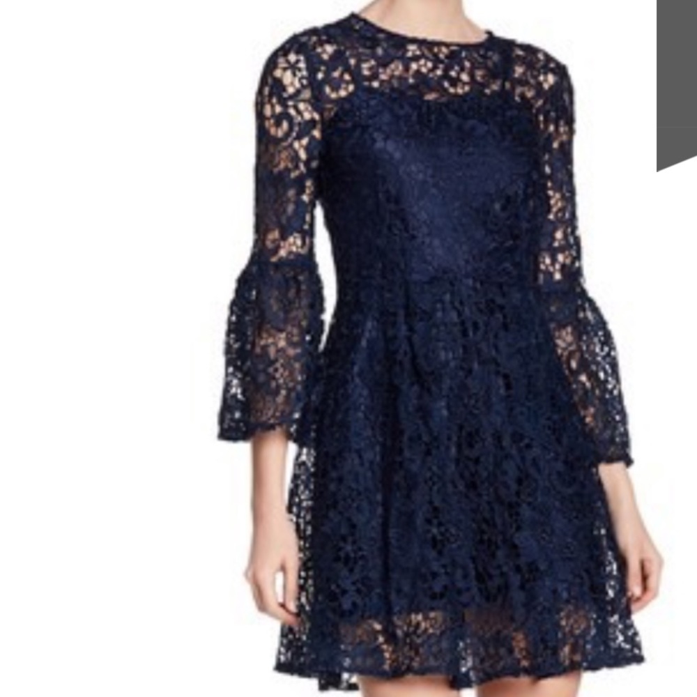 Cynthia Rowley Floral Lace Ruffle Sleeve Dress